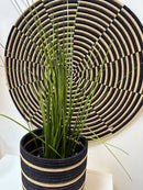 Large Sweetgrass Basket – Statement Wall Piece (60 cm)