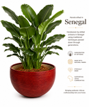 Handwoven Senegal Basket with Leather – Sustainable Home Decor