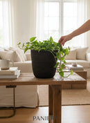 Paniery black handwoven natural fiber mini vase holding a green plant on a rustic wooden table.