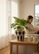 Paniery graphic woven basket in black and natural tones, featuring a repeating pattern of stylized figures. Used as a planter for a Monstera plant.