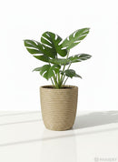 Paniery mini handwoven vase from Rwanda, natural fibers, beige, 20 cm, perfect for styling small spaces.