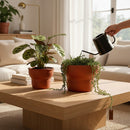 Paniery handwoven drum-inspired basket in orange leather and seagrass, used as a planter on a coffee table.