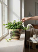 Paniery handwoven mini vase with black and natural stripes, holding a plant with white flowers and ivy. Styled on a windowsill.