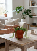 Paniery handwoven drum-inspired basket in terracotta orange, made from seagrass and recycled plastic, wrapped in leather.