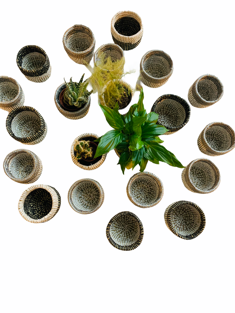 Lala Mini Baskets