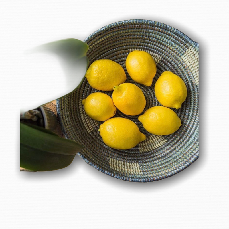 Aïssa Bowl