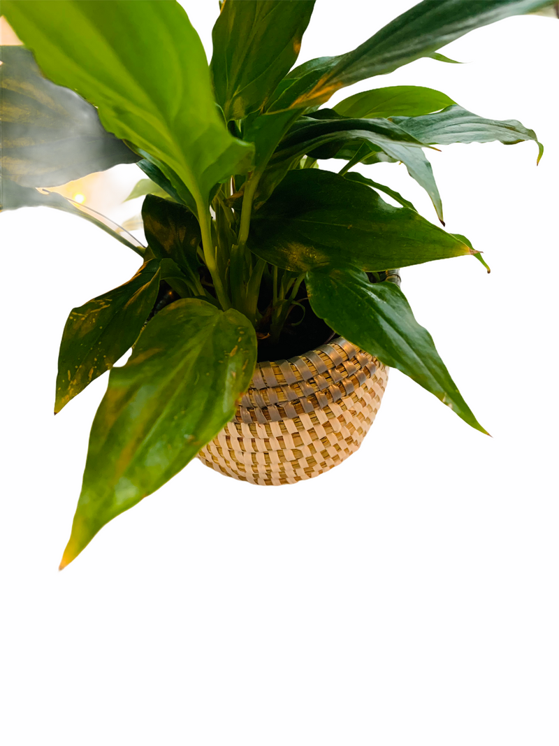 Lala Mini Baskets